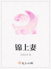 月婵法师锦好不好看